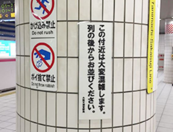 ���P�ʐ^