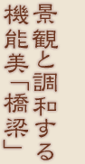 �i�ςƒ��a����@�\���u�����v