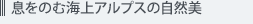 �����̂ފC��A���v�X�̎��R��