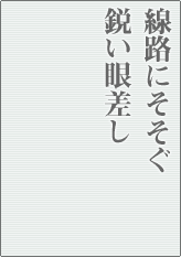 線路にそそぐ鋭い眼差し
