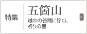 ���W