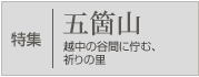 ���W