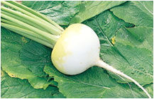 �C���[�W�ʐ^