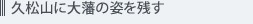 �v���R�ɑ�˂̎p���c��