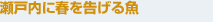 瀬戸内に春を告げる魚