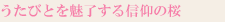 うたびとを魅了する信仰の桜
