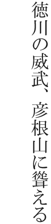 徳川の威武、彦根山に聳える