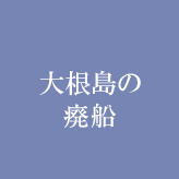 大根島の廃船