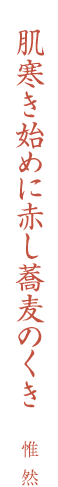 肌寒き始めに赤し蕎麦のくき 惟 然