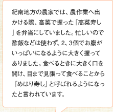 紀南地方の農家では、農作業へ出かける際、高菜で握った「高菜寿し」を弁当にしていました。忙しいので酢飯などは使わず、2、3個でお腹がいっぱいになるように大きく握ってありました。食べるときに大きく口を開け、目まで見張って食べることから「めはり寿し」と呼ばれるようになったと言われています。