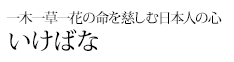 一木一草一花の命を慈しむ日本人の心 いけばな