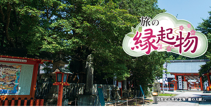 国指定天然記念物「梛の大樹」。