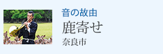 音の故由 鹿寄せ 奈良市