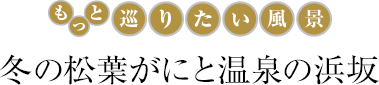 �����Ə��肽�����i �~�̏��t���ɂƉ���̕l��