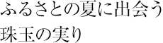 ふるさとの夏に出会う珠玉の実り
