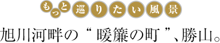 旭川河畔の“暖簾の町”、勝山。