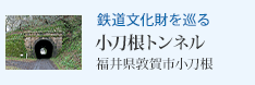 �S�������������� �������g���l���i���䌧�։�s�������j