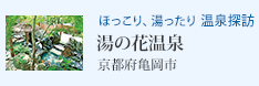 �ق�����A�������� ����T�K ���̉ԉ���i���s�{�T���s�j