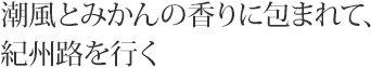 潮風とみかんの香りに包まれて、紀州路を行く