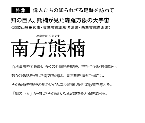 ���W �̐l�����̒m��ꂴ�鑫�Ղ�K�˂� �m�̋��l�A�F�킪�����X�����ۂ̑�F�� ����F��