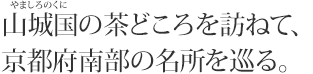 山城国の茶どころを訪ねて、京都府南部の名所を巡る。