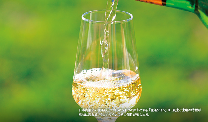 ���{�C�����̖k�����u�ň�����u�h�E�������Ƃ���u�k�����C���v�́A���y�Ɠy��̓����������Ɍ����B���ɔ����C���ł��̌����y���߂�B
