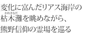 変化に富んだリアス海岸の枯木灘を眺めながら、熊野信仰の霊場を巡る
