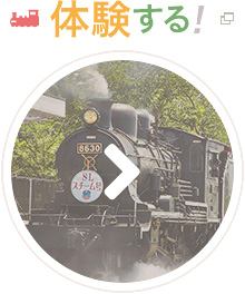 �̌�����I