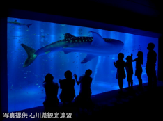 能登島水族館