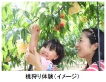 おかやま桃狩りバス