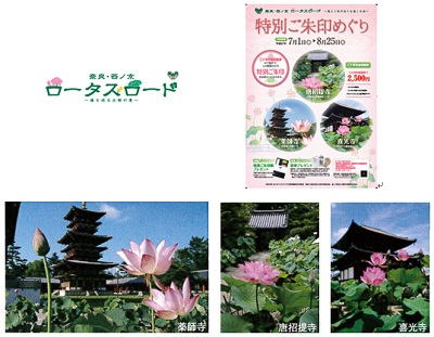 花蓮をめぐる「奈良・西ノ京ロータスロード」企画を薬師寺、唐招提寺、喜光寺と共同で実施について