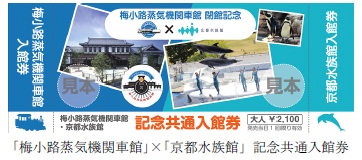 記念共通入館券