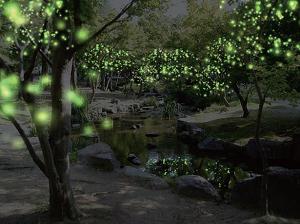 「京都・冬の光景~共生と共鳴~」イメージ