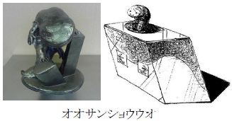 オオサンショウウオ