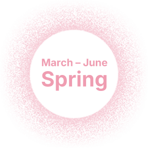 March - June Spring