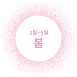 3월~6월 봄